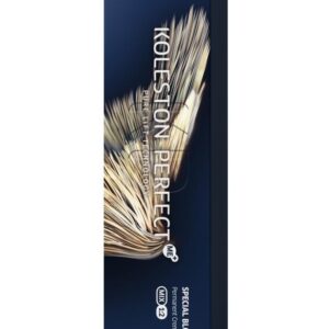 KOLESTON PERFECT +ME 12/11 - SUPERSCHIARENTE CENERE INTENSO 60ml