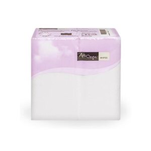 PANNETTI AIR CLEAN ASCIUGAMANI IN TNT 30x30 pz50 PACK